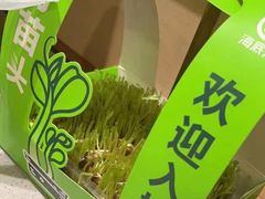 -海底捞火锅(凯德广场店)