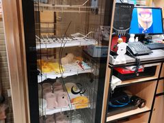 -阿九笨鸡蛋手擀面(总店)