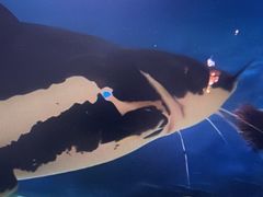 -洛阳龙门海洋馆