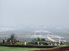 -空港花田景区