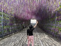 -山乡农家院(海淀区西北旺店)