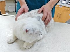 -联合动物医院(光谷诊疗中心)