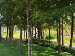 -丝绸小镇荻港古村