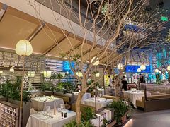 -桂满陇·海市蜃楼·黑金(国金店)