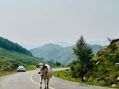-灵山