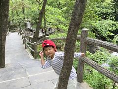 -牛背梁国家森林公园