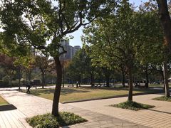 -新江湾城公园