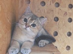 -拾壹cafe·工作室