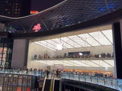 -Apple零售店(天环广场店)