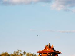-北京市劳动人民文化宫