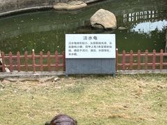 -广东惠东海龟国家级自然保护区