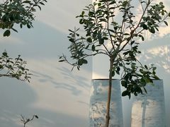 -辰熙ACX星海艺术中心