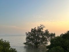 -深圳湾公园(南山区)