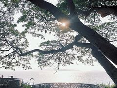 -网红落日悬崖餐厅 The Sky Gallery