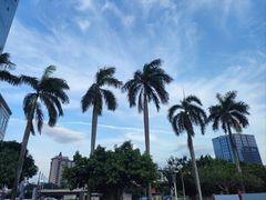 -番禺广场(市桥街道)