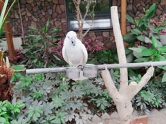 -南宫五洲植物乐园