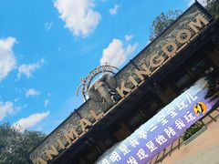 -奥兰多迪士尼动物王国乐园