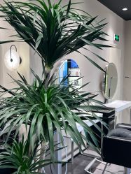 -凯博K-boom Hair Salon