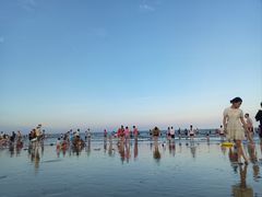 -东海岛旅游度假区