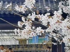 -幕燕滨江·长江观音景区