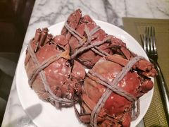 -上海龙之梦万丽酒店