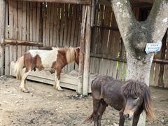 -泉州海丝野生动物世界