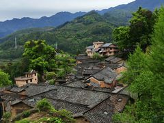 -杨家堂村