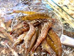 -大锅强·蒸海鲜青岛菜(金沙滩店)