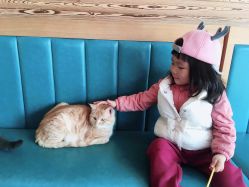 -萌宠亲子动物乐园(槐房万达店)