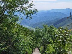 -白草畔自然风景区