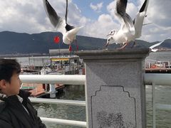 -滇池海埂公园