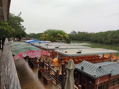 -大湾区中央湿地公园