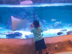 -沈阳海洋探索中心