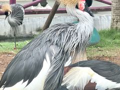-灵玲国际马戏城
