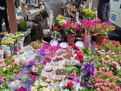 -苏州市皮市街花鸟工艺品市场