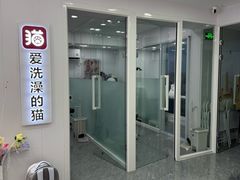 -爱洗澡的猫(望京店)