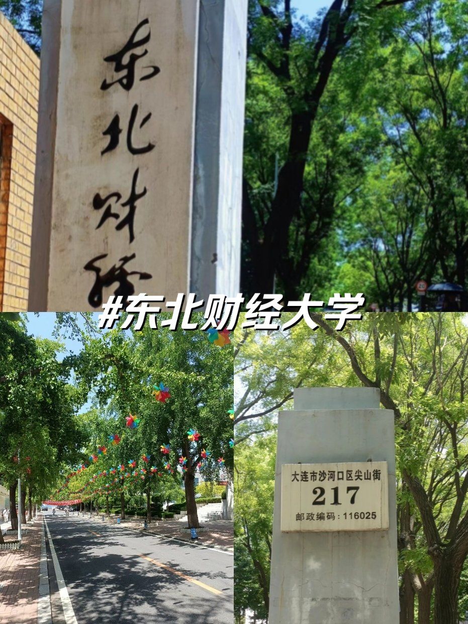 什么财经大学好(有什么好的财经大学)