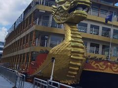 -新龙船黄浦江餐饮游船官方自营店