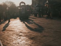 -上海海昌海洋公园