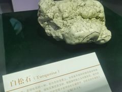 -中国第四纪冰川遗迹陈列馆