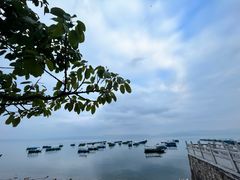 -抚仙湖禄充风景区