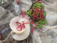-小龙坎火锅(华凌店)