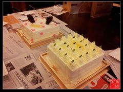 低端款-1-BLACKSWAN黑天鹅(环球店)