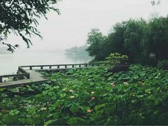 -古越人家·湖光山色