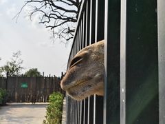 -泉州海丝野生动物世界