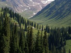-新疆那拉提国家旅游度假区