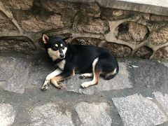 -碓臼峪自然风景区