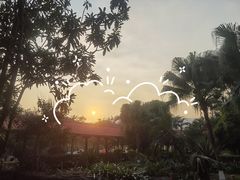 -大屏嶂森林公园