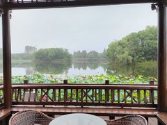 -上海市保健医疗中心