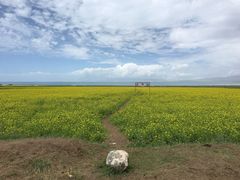 -青海湖国家重点风景名胜区